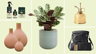 Best Gifts for Gardeners and Plant Lovers
