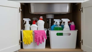 How to Organize the Cabinet Under a Sink