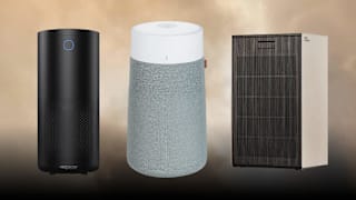 5 Best Air Purifiers for Wildfire Smoke, According to Our Testing