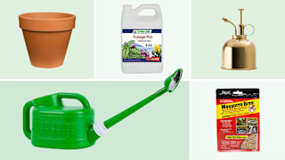10 Plant-Care Staples to Help Your Greens Thrive