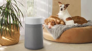8 Best Air Purifiers of 2026, Tested by Our Experts