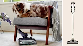 8 Best Stick Vacuums of 2026, Lab-Tested and Reviewed