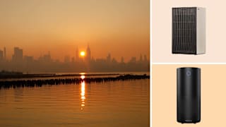5 Best Air Purifiers for Wildfire Smoke, According to Our Testing