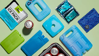 The 4 Coldest Ice Packs of 2026, Tested and Reviewed