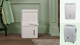 6 Best Dehumidifiers Under $250, Tested by Our Experts