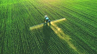 The Rules That Should Protect Us From Pesticides Are Inadequate, Advocates Say