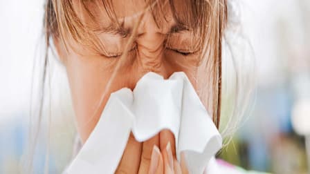 Could a Mold Allergy Be Making You Miserable?