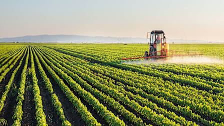 We May Be Consuming More Glyphosate Than Ever Before