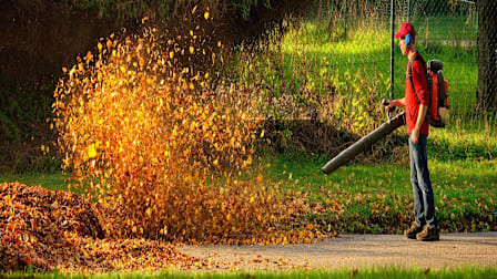 Complete Guide to Fall Yard Care