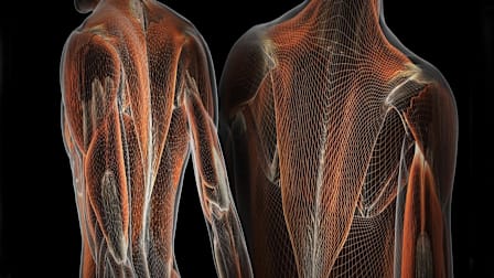 The Better Way to Get Back Pain Relief