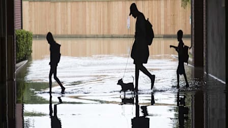 Protect Yourself From Post-Storm Scams