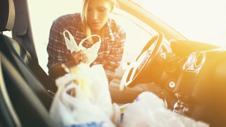 Keeping Groceries Safe in a Hot Car