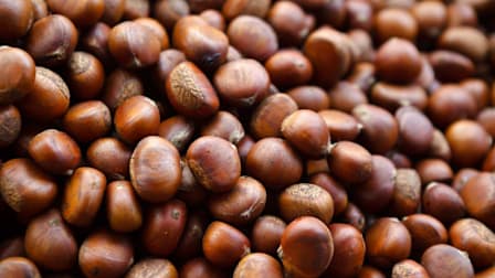pile of chestnuts