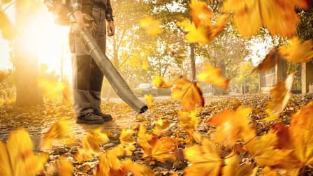 Quietest Leaf Blowers & Outdoor Power Gear