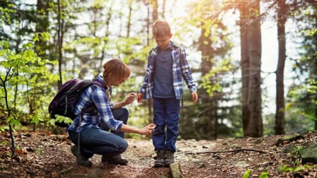 How Deet and Permethrin Can Protect You
