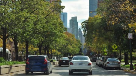 cars driving on city street with trees on either side and buildings in background through trees
