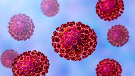 Coronavirus FAQ: What You Need to Know About COVID-19