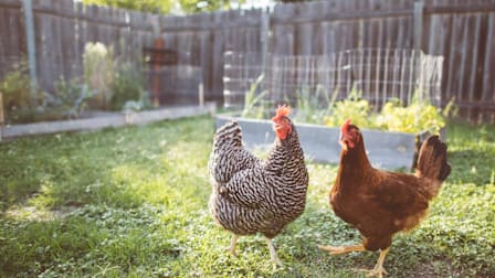 5 Surprising Ways You Can Get Food Poisoning