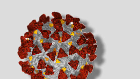 Your Questions About Coronavirus Variants, Answered