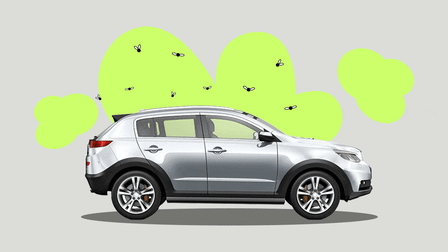 Photo illustration of a car with flies flying around it.
