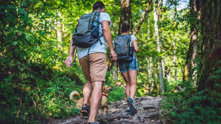 Two people walking in the woods with their dog