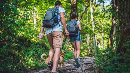 Two backpackers and a dog walk through a forest in the middle of the day