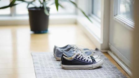 wood floor with two pairs of sneakers on mat near door and plant in background