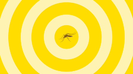 mosquito in center of yellow target
