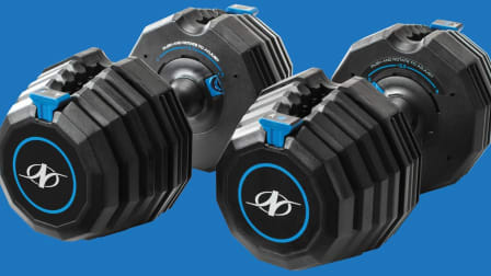 set of NordicTrack Select-A-Weight 55 Lb. Dumbbells