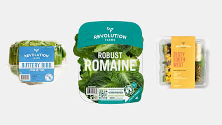 From left: Recalled Revolution Farms Buttery Bibb Whole Head, Revolution Farms Robust Romaine, and Revolution Farms Zesty Southwest 6oz Salad Kit