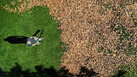A man using an Ego LB7654 leaf blower to blow leaves in a yard.