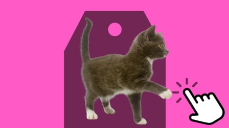 Cat on shopping deals tag with digital hand icon with pink background.