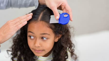 Parent using lice comb on childs hair