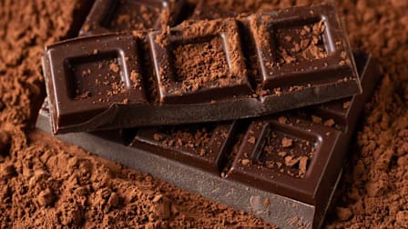 Dark chocolate pieces sprinkled with cocoa powder.
