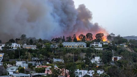 Smoke from the Palisades Fire fills the sky as seen from the Pacific Palisades neighborhood of Los Angeles, California on January 07, 2025 in Los Angeles, California. Houses and trees in foreground
