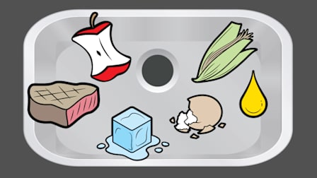 Illustration of a kitchen sink with different items you either can or cannot put down a garbage disposal.