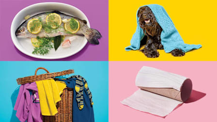 a fresh fish plated with garlic, lemon and herbs, a dog in a bath towel, a finished roll of toilet paper and a hamper full of dirty clothes