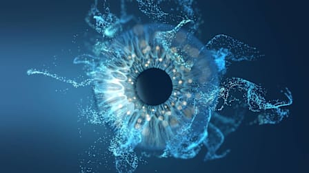 An illustration of an eyeball.
