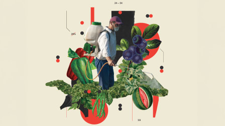 illustration of person spraying pesticides onto watermelon, kale, green beans, blueberries, and bell peppers