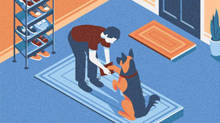 illustration of person wiping dog's paw in foyer of house with shoe rack in background