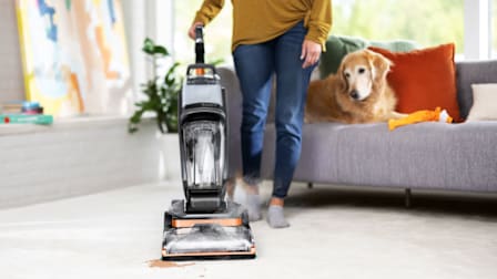 Person vacuuming with the Bissell Revolution HydroSteam Pet 3432 Carpet Cleaner with a dog on the couch looking on.