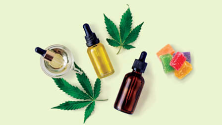 overhead view of various forms of cannabis (leaves, gummies, and oils) on light green background