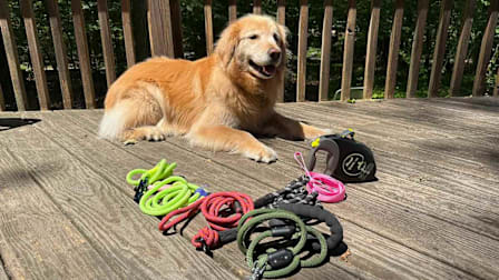 Best Dog Leashes