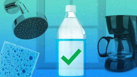 Sponge, showerhead, window, coffeemaker, and vinegar bottle with check mark on it