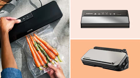 Anova vacuum sealer with bag of carrots, FoodSaver and Geryon vacuum sealers