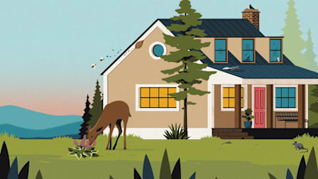 Illustration of a deer in yard outside of home eating grass
