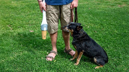 Man with dog and Dirt Devil Dogwalker