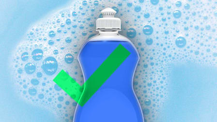 Dish soap bottle overlaid with a green checkmark.