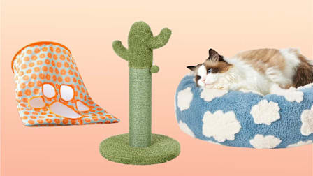 From left: Aiionp Cat Tunnel Bag, Frisco Cactus Cat Scratching Post, and Le Sure Cat Bed