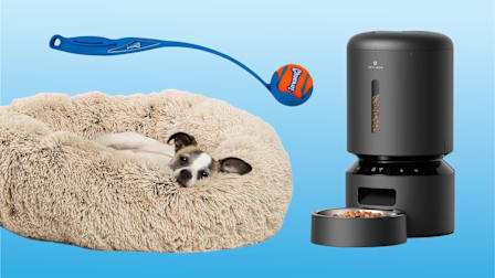 Clockwise from center: Chuckit Classic 26M Dog Ball Launcher, PetLibro Granary Smart Feeder, and Best Friends by Sheri The Original Calming Donut Dog Bed